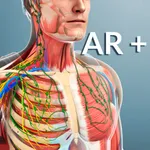 AR Human Anatomy icon