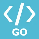 Go Programming Compiler icon