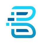 BIT安全检查 icon