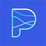 Payflow icon