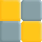 Brain Recall Training icon