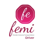 Femi Lady Driver icon