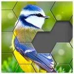 Jigsaw Classic 2020 icon