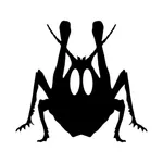 Grasshopper Board icon