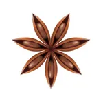 Star Anise Ashbourne icon