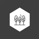 ФЭМ AR icon