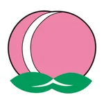 中国料理桃華 icon