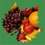 Frutts Hortifruti icon