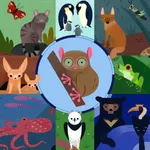 AmazingAnimalAtlas icon