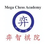 Mega Chess Academy icon