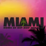 MIAMI FM icon