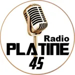 Platine 45 Radio icon