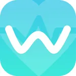 Wesoolink icon