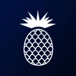 Design Studio by WPSIR icon