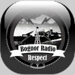 Radio Respect icon