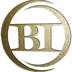 BI Consultant icon