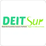 DEITSur icon