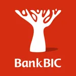 Bank BIC NA Limited icon