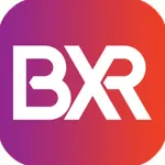 BrandXR Discovery icon