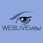 Webliveview Sales icon