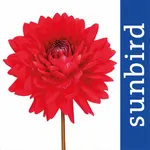 Der Garten-Profi icon