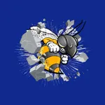 Rochelle ISD Hornets icon