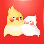 婚前婚后-结婚备婚必备婚礼app icon