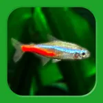 Tropical Fish Tank - Mini Aqua icon