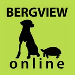 Bergview Online icon