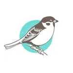 Sparrow Coffee Co. icon