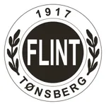 Flint Tønsberg håndball AL icon