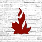 Canadian Firewall icon