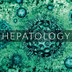 Hepatology 2020 icon