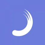 Planisware Enterprise icon