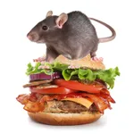 Burger Rats icon
