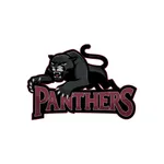 NEB Panthers icon