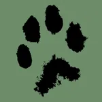 Luchs-App icon