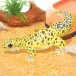 Leopard Gecko Pet icon