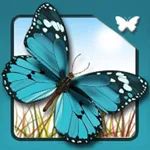 Butterfly Quest icon