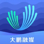 深爱大鹏 icon