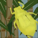 Sugarcane Aphid Glance N Go icon