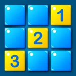 Sudoku Blocks Puzzle By Color icon