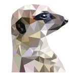 MeerKAD icon