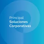 Principal Soluciones Corp icon