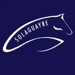 Solaguayre icon