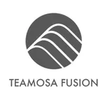 TEAMOSA Fusion USA icon