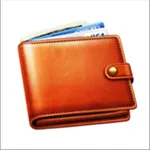 My Wallet: Income and Expense icon