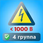 Электробезопасность 4 до 1000в icon