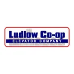 Ludlow Co-op icon