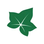 IvyCap Investor icon